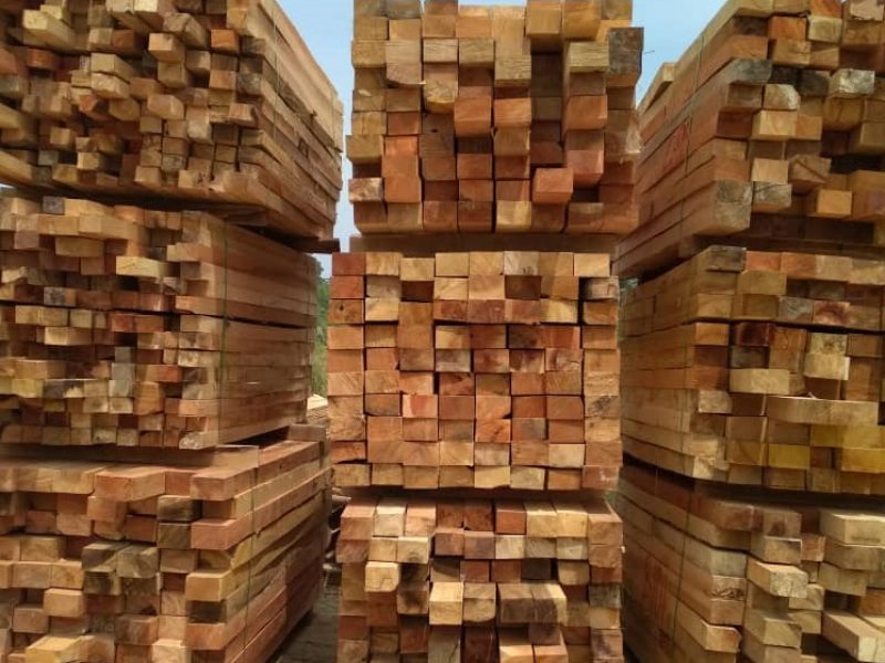 Timber_4